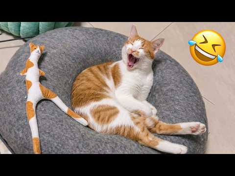 These funny creatures bring nothing but positive vibes 😆