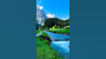 سورة الفلق #explore #foryou #funny #quran #trending #اكسبلور #الله #اللهم_صل_وسلم_على_نبينا_محمد