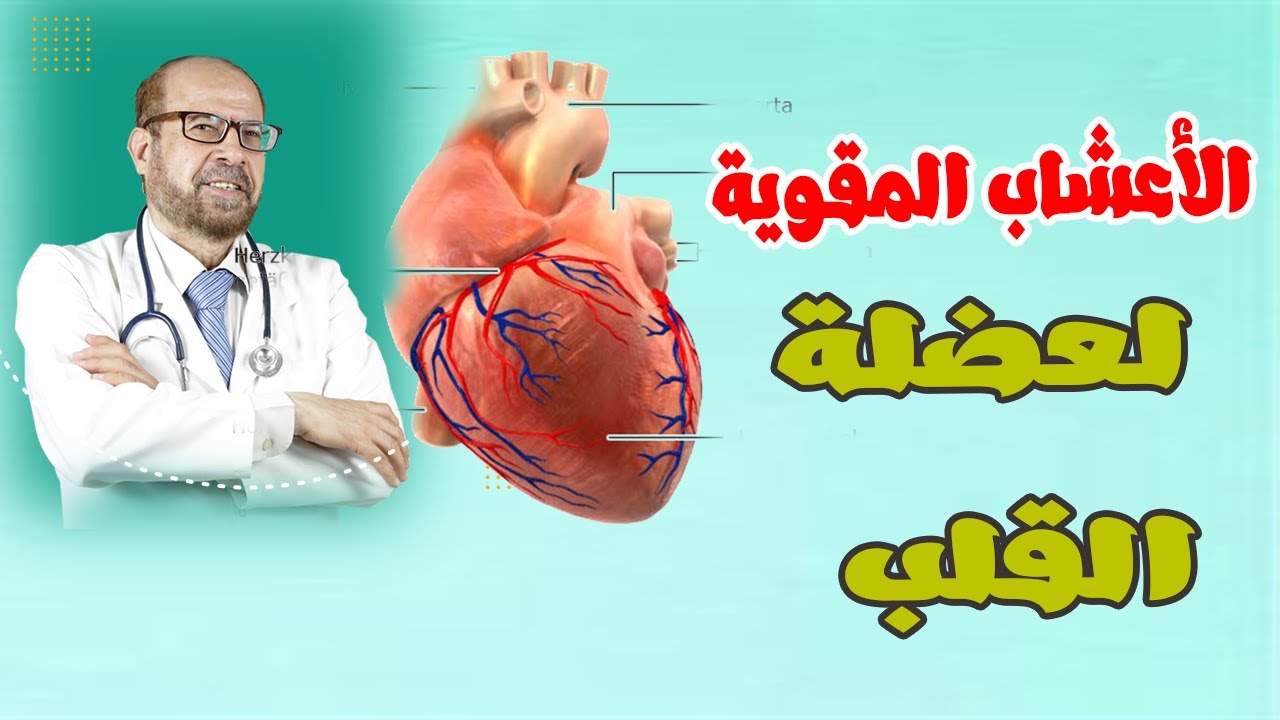 ماهى الأعشاب المقوية لعضلة القلب دكتور/ جودة محمد عواد