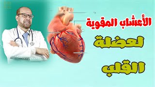 ماهى الأعشاب المقوية لعضلة القلب دكتور/ جودة محمد عواد