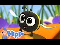 Blippi Wonders - Honey | Learning Videos For Kids | Education Show For Toddlers