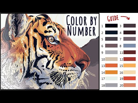 Digital Coloring a Paint by Numbers Hard Level Tiger - YouTube