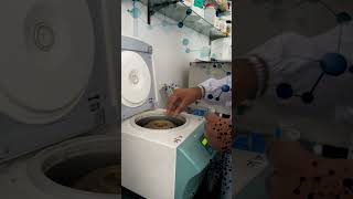 part 2 of isolation of DNA #experiment #isolation #shortvideo #shorts