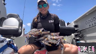 How to catch Blue Swimmer Crabs - Botany Bay - Sydney - Spikes Fishing