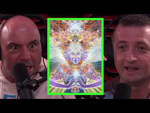 Does Joe Rogan Think the DMT Elves Are Real?