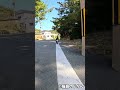 白線の上を歩くハチワレ #shorts #猫 #cat #cats