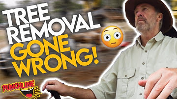 The RIGHT Way To Remove A Tree | All Aussie Adventures