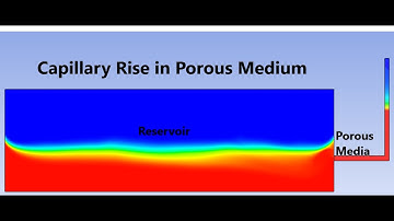 Capillary Rise of Multiphase Fluid in Porous Medium