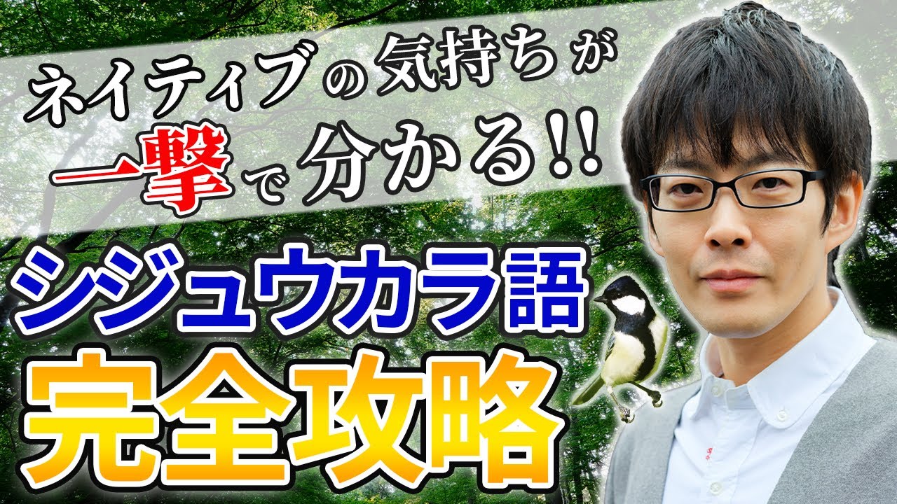 【永久保存版】シジュウカラ語を一撃で理解できる最強の動画#252