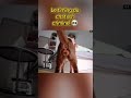 je ne m'y attendais pas du tout 🤣 #cat #youtubeshorts #chat #fun #shorts #viral #animaux #pets #fyp