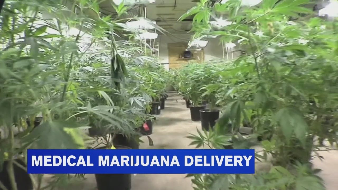 Local dispensary: medical marijuana delivery now vital part of business