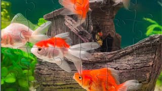 🧩 Gold Fish Jigsaw Puzzle  screenshot 4