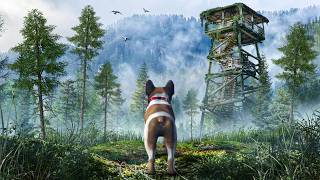 Surviving as a Dog in an Apocalypse Caused by Paranormal Entities! screenshot 2