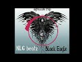 NLG beatz Black Eagle (agressive trap music)