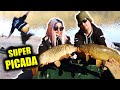 Pesca de CARPAS grandes en INVIERNO (primera sesión pesca 2021) ESPAÑA Carp fishing