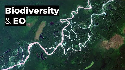 Applications of satellite technology in biodiversity conservation