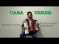 Cana verdefilipe ribeiro sanfoneiro de tonico e tinoco cover de acordeon