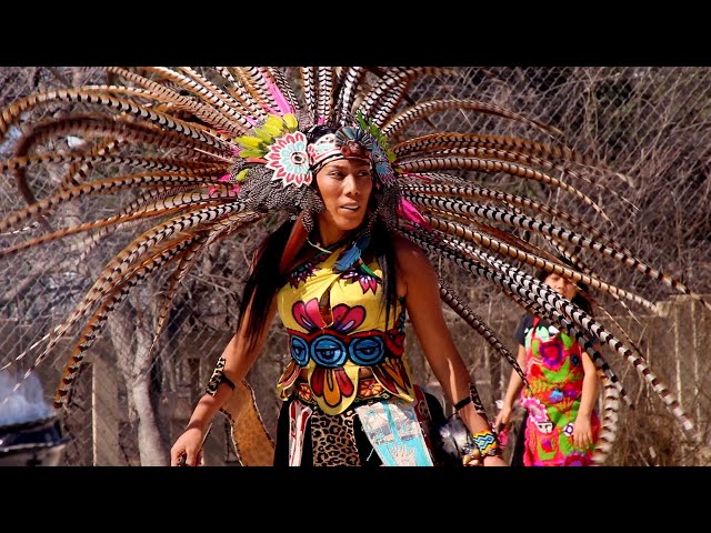 Ayçiçek yogida jinsiy aloqa