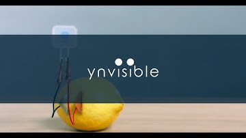 Ynvisible: Low-Power Displays for a Smarter, Sustainable World