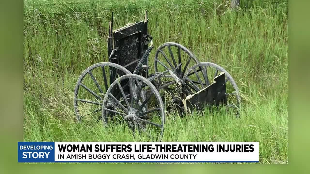 Woman suffers life-threatening injuries in Amish buggy crash - YouTube