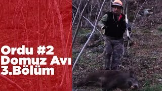 Ordu Domuz Avı 2 Ekip İşi 3.Bölüm Yaban Tv Wild Boar Hunting