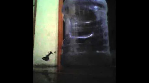 frozen yadira y camila