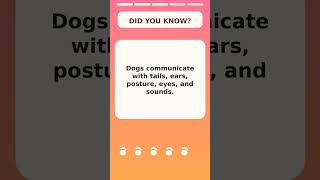 Amazing Dog Fact