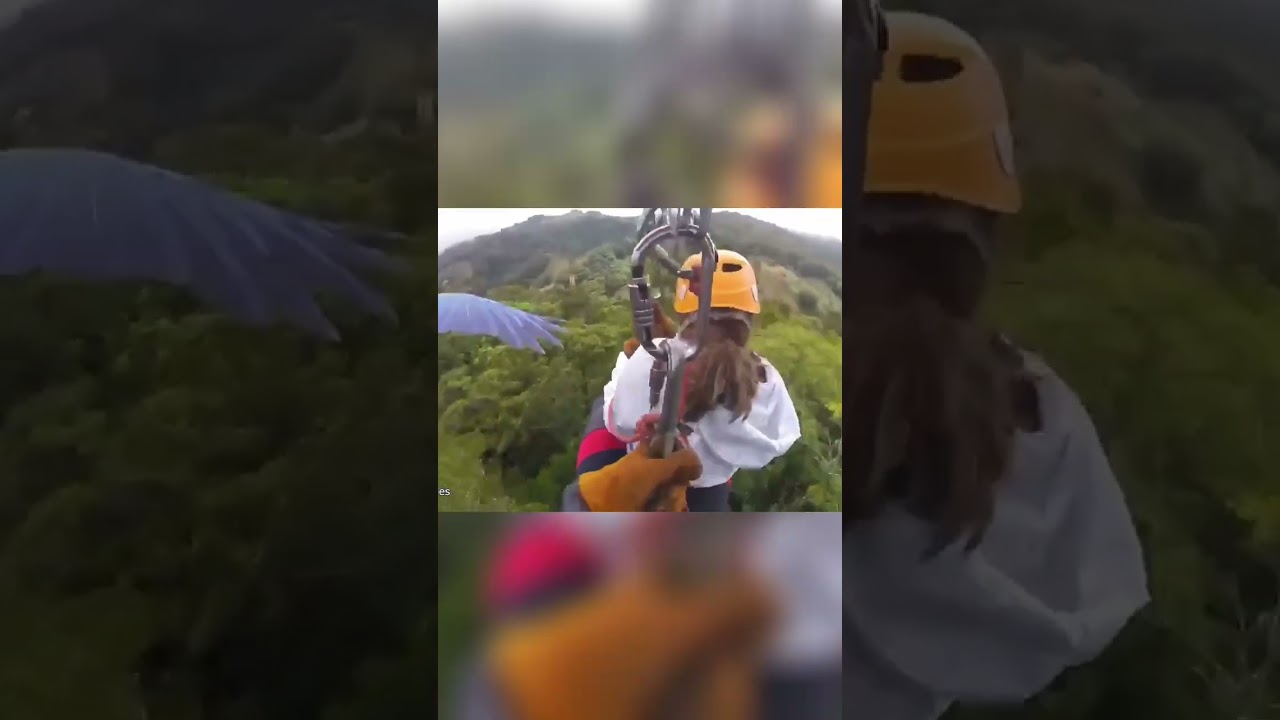 Curious Bird and the Floating Sombrero Mystery