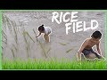 Kids Planting RICE & Playing Muddy Puddles rice field | Vlog with Emma