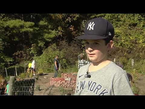 Pollinator Garden at Monkton Central School (Vermont)