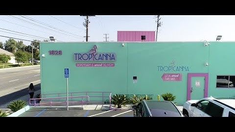 Tropicanna Dispensary - BLAZE® Customer Success Story