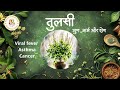 तुलसी (Tulsi) के पत्ते चबाएं, कैंसर को दूर भगाएं ☘️🌿।। Dr. Deepak Singh Gaira