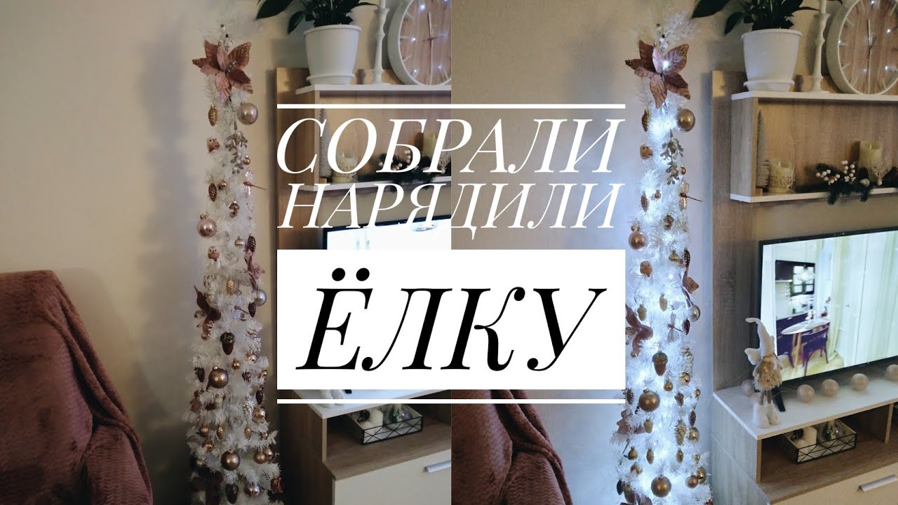 Новые Ролики Обочечники Бедрилы За 2022 Год Новые Ролики Обочечники Бедрилы За 2022 Год