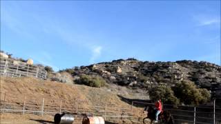 Desi Attempting A Jump