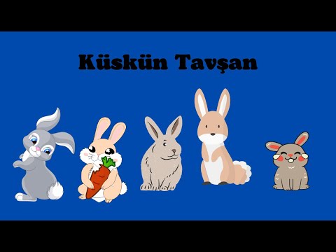 Küskün Tavşan | ÇOCUK HİKAYELERİ/ MASALLARI | Masal Dinle
