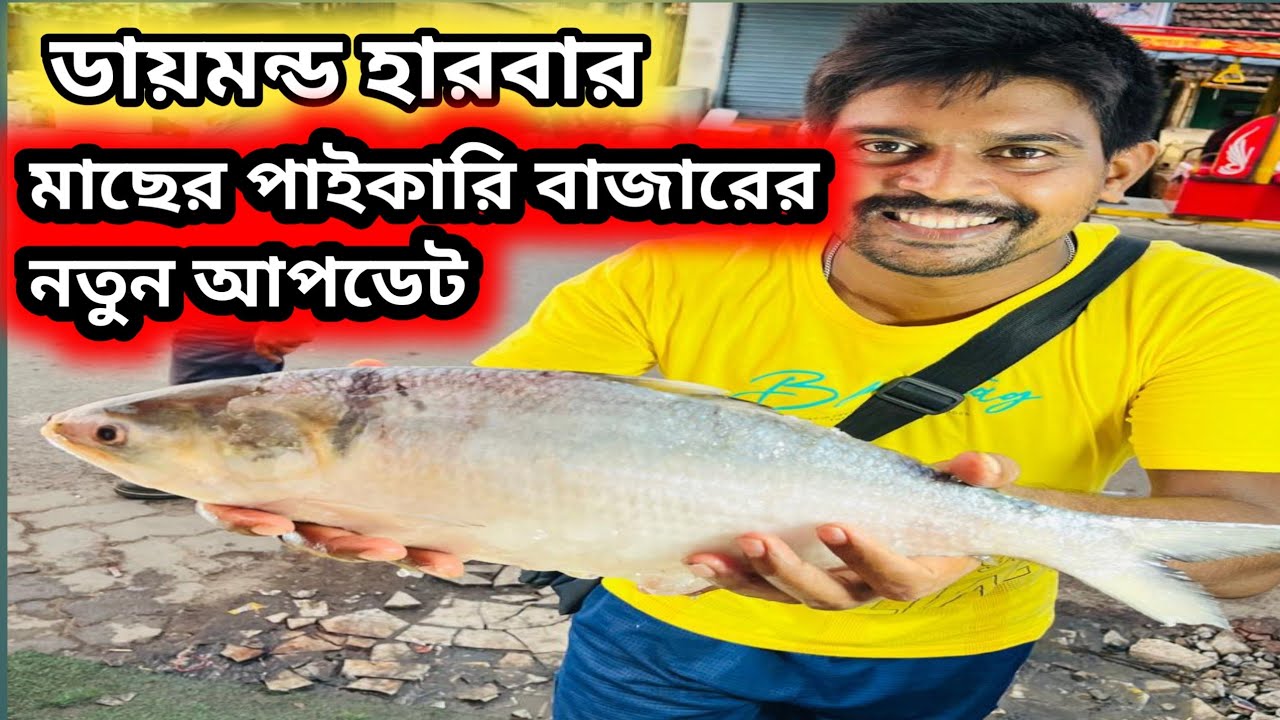 Diamond harbour wholesale fish market latest  update 