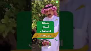 تسميد أشجار الحمضيات