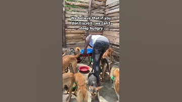 Please kindly donate any dollar, link to our PayPal link in our bio to donate please 🙏