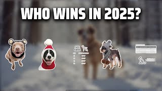 The Top 5 Best Dog Winter Hats in 2025 - Must Watch Before Buying!