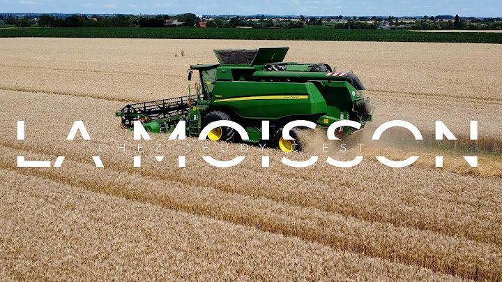 Moisson 2024 - Céréales à paille