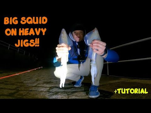 HOW TO CATCH SQUID USING HEAVIER JIGS! 