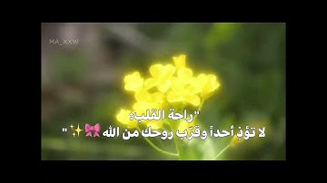 ﴿ أَلَا بِذِكْرِ اللَّهِ تَطْمَئِنُّ الْقُلُوبُ ﴾(سورة الرعد: 28)🥹✨#راحة_نفسية#راحه_للقلب#قران_كريم