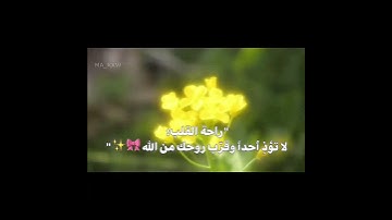 ﴿ أَلَا بِذِكْرِ اللَّهِ تَطْمَئِنُّ الْقُلُوبُ ﴾(سورة الرعد: 28)🥹✨#راحة_نفسية#راحه_للقلب#قران_كريم