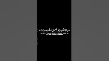 الشيخ أبوبكر الشاطري #القرآن_الكريم #коран #سورة_البقرة #تلاوة_خاشعة
