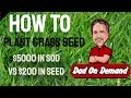 How To Plant Grass Seed – Cheap & Easy Way To Plant Grass Seed With The Least Amount Of Work