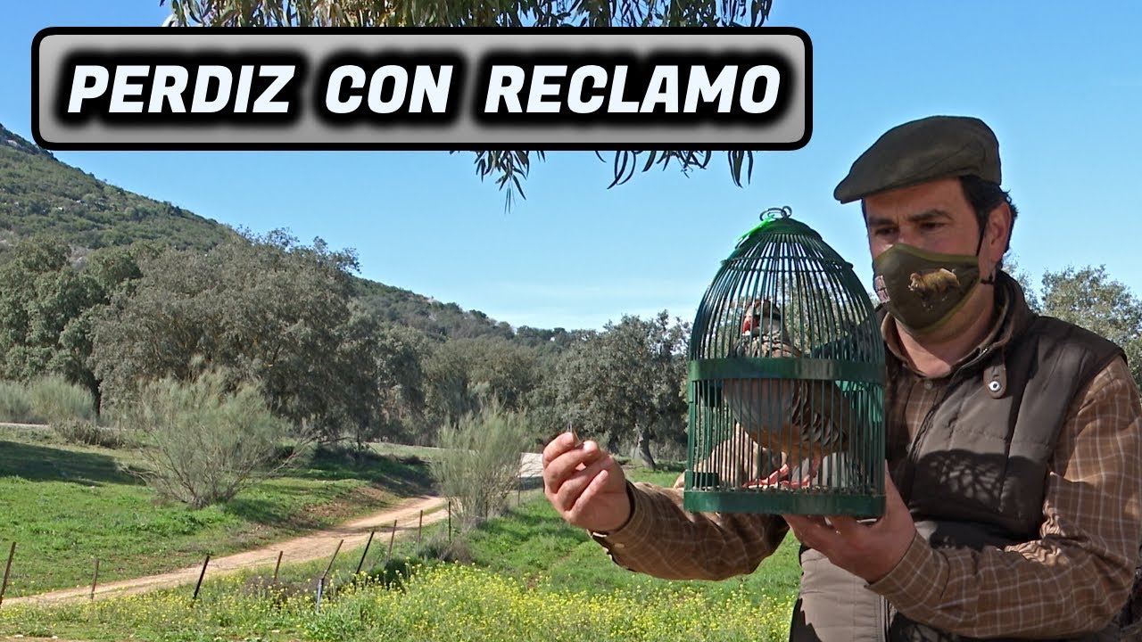 PERDIZ CON RECLAMO 2021 | Juan Carlos Castro
