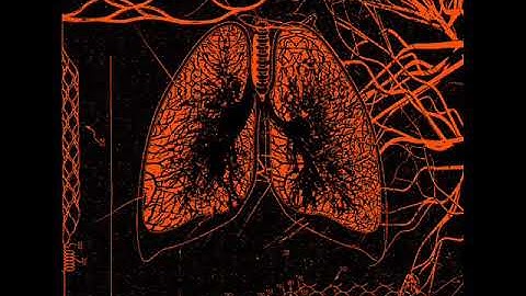 Extreme Kindness & Raw Pit - Lung Mycelium (2019) (Harsh Noise, Death Industrial)