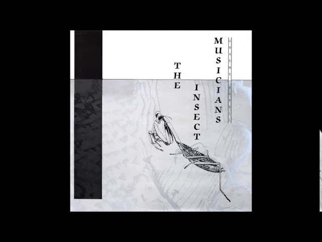 FENNESZ + O'ROURKE + REHBERG : 