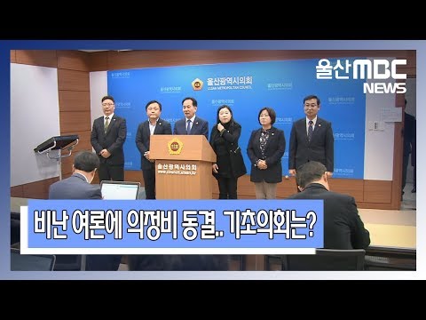 20181128 비난 여론에 의정비 동결..기초의회는?
