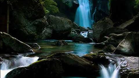 سورة الذاريات بصوت الشيخ أنس الغامدي